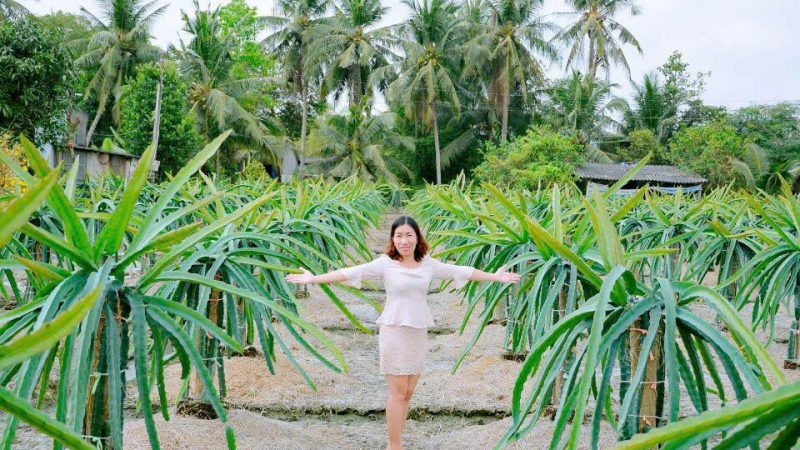 Vững Vàng Như Mầm Xanh Giữa Nắng Gió: Doanh Nhân Nguyệt Hằng Và Hành Trình Bắt Đầu Đến Với Hoa Hậu Doanh Nhân Hòa Bình 2025