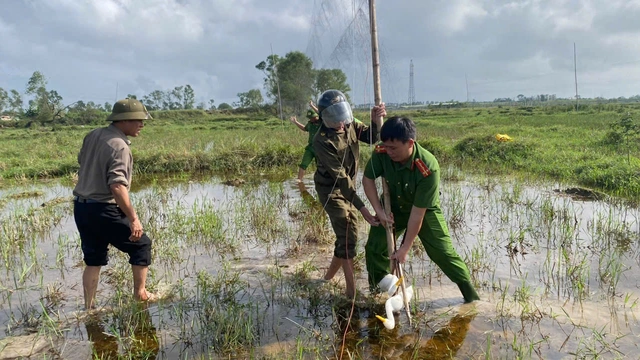 58039536011388238684608075106577208161830493n-17630743789991242503801